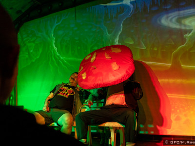 10.02.2024 Nachtwäsche P30 